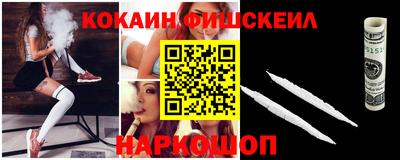 крисы Можга