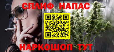 крисы Можга