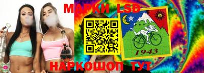 крисы Можга