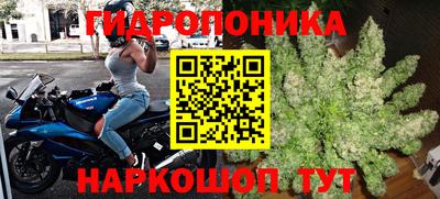 Альфа ПВП Малгобек
