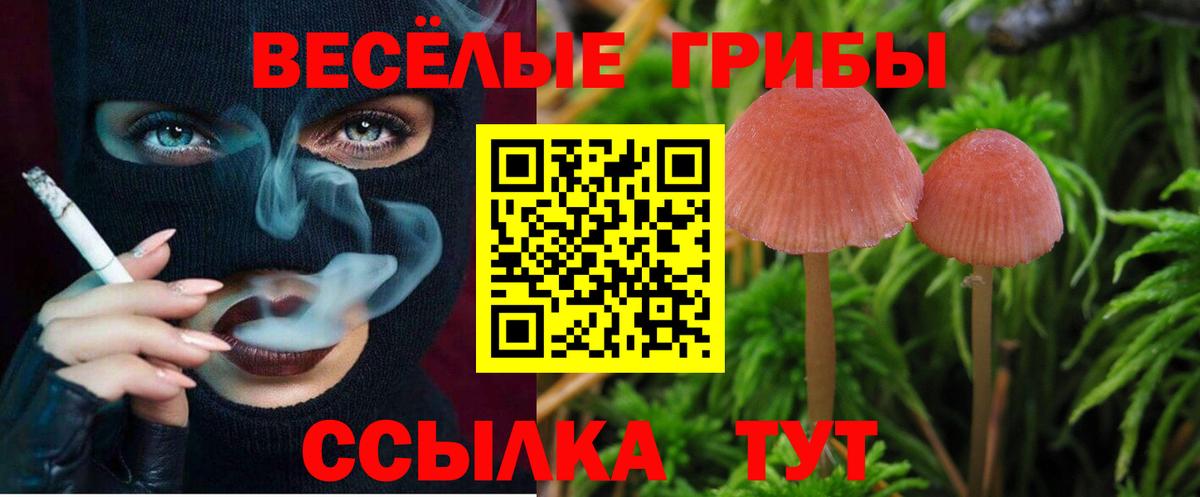 Псилоцибиновые грибы мицелий  Псилоцибиновые грибы мицелий  что такое наркотик  Вход с VPN  Чапаевск 
