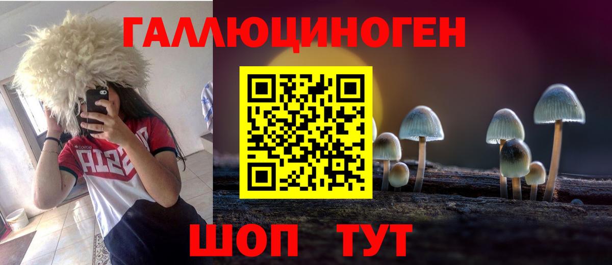 Псилоцибиновые грибы GOLDEN TEACHER Чапаевск